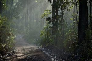 Bibbulmun Track