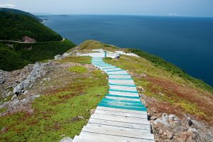 Skyline Trail